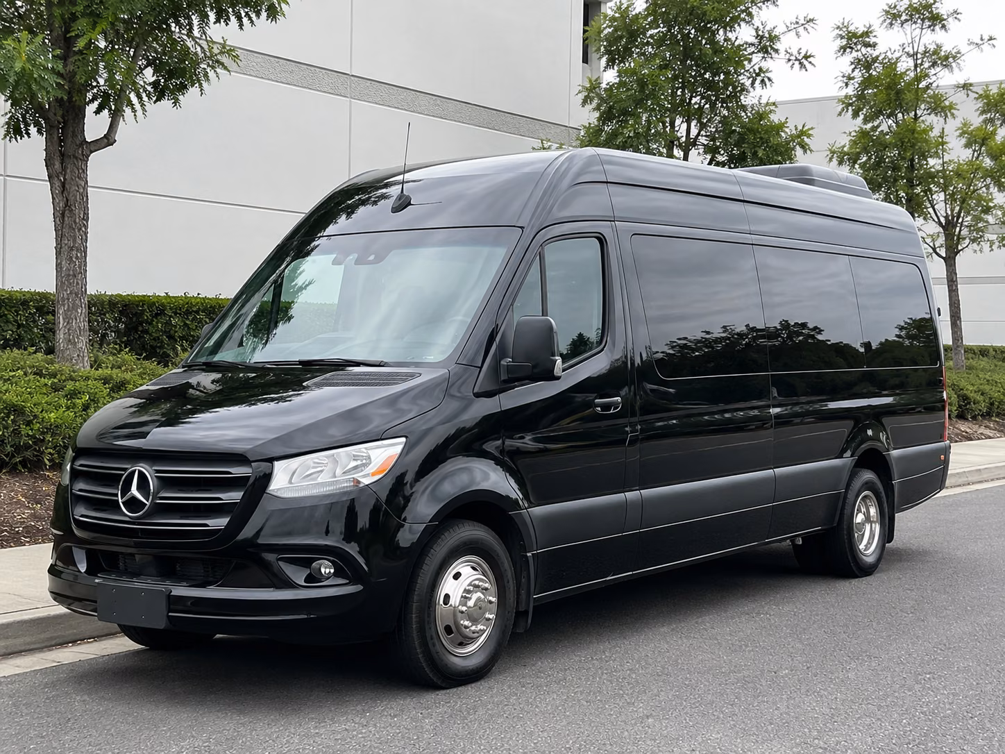 sprinter vans and minibuses for small group corporate transportation in port orange